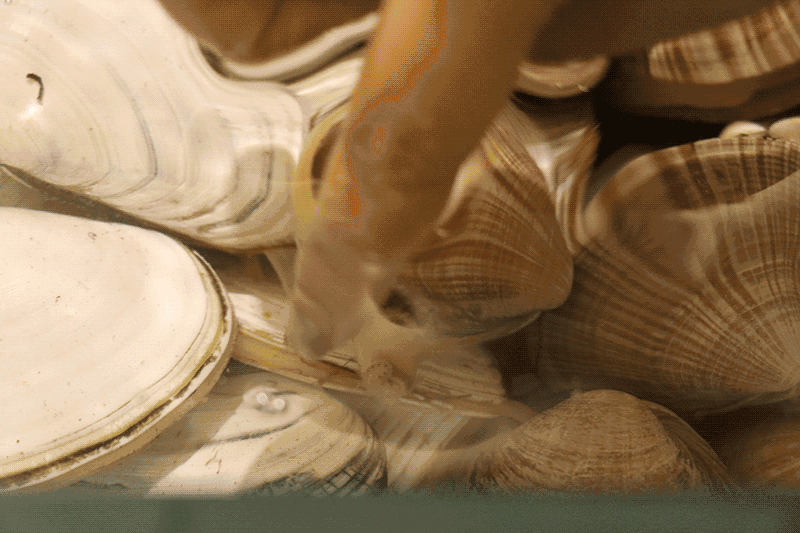 香港正版六台盒宝典资料大全